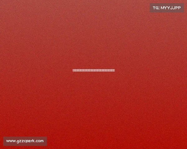 华为赛事盛典荣耀启幕全球英才竞技创新共筑科技未来新篇章