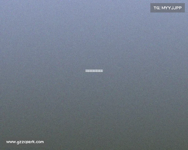 体育赛事的管理主要包括